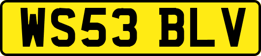 WS53BLV
