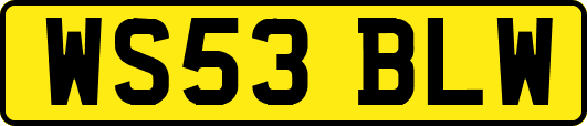 WS53BLW