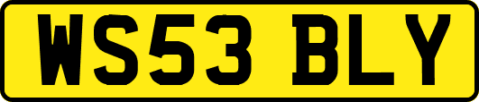 WS53BLY