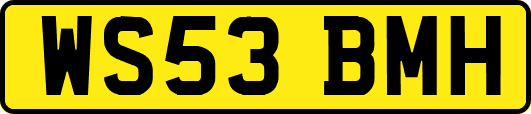 WS53BMH