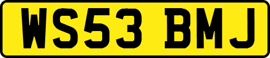WS53BMJ