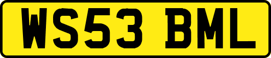 WS53BML