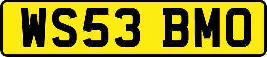WS53BMO