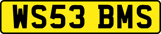 WS53BMS