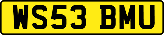 WS53BMU
