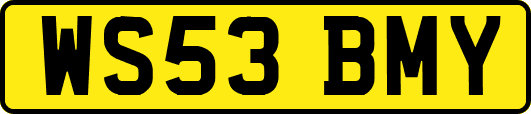 WS53BMY