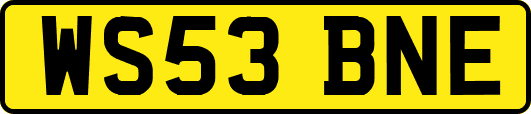 WS53BNE