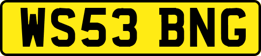 WS53BNG