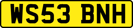 WS53BNH