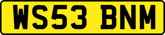 WS53BNM