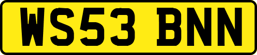 WS53BNN