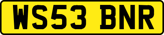 WS53BNR