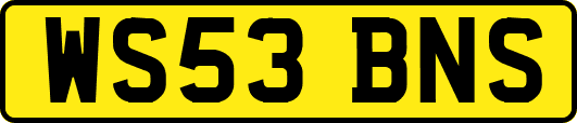 WS53BNS
