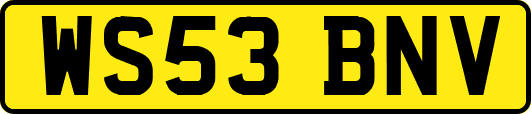 WS53BNV