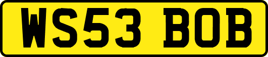 WS53BOB