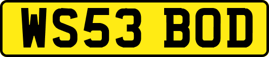 WS53BOD