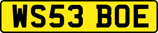 WS53BOE