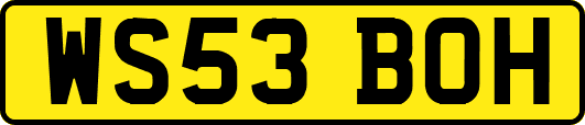 WS53BOH