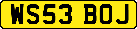 WS53BOJ