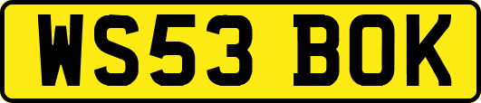 WS53BOK