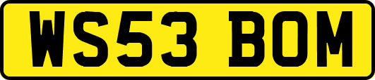 WS53BOM