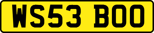 WS53BOO