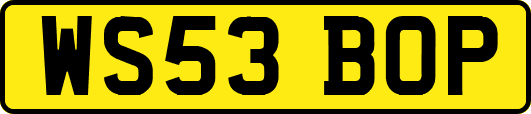 WS53BOP