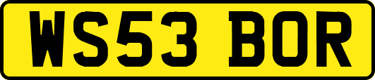 WS53BOR