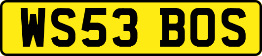 WS53BOS