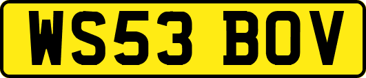WS53BOV