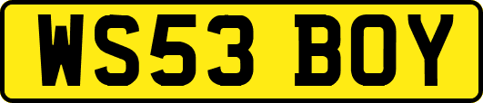 WS53BOY