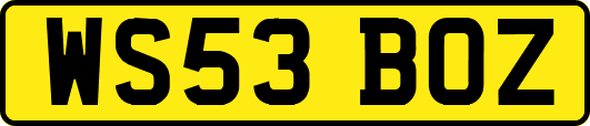 WS53BOZ