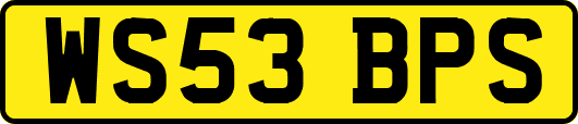 WS53BPS