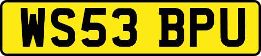 WS53BPU