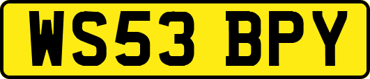 WS53BPY
