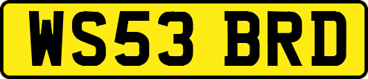 WS53BRD