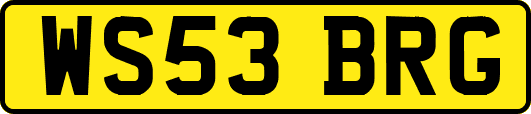 WS53BRG