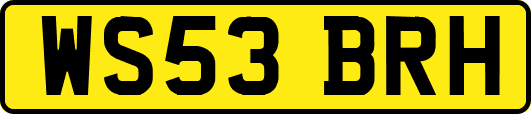 WS53BRH