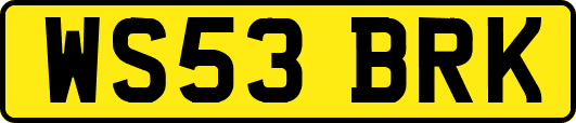 WS53BRK