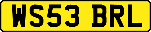 WS53BRL