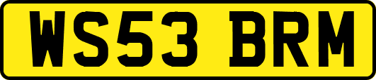 WS53BRM
