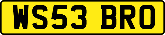 WS53BRO