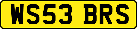 WS53BRS