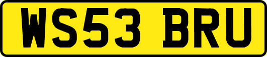 WS53BRU