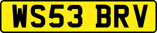 WS53BRV