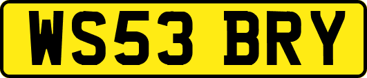 WS53BRY