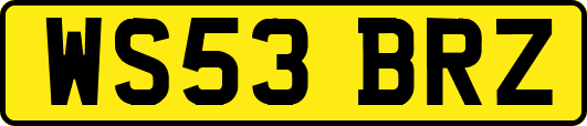 WS53BRZ