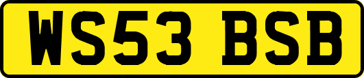 WS53BSB