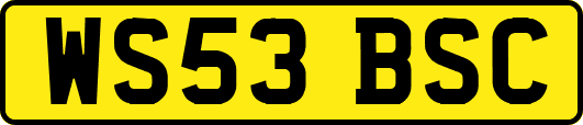 WS53BSC