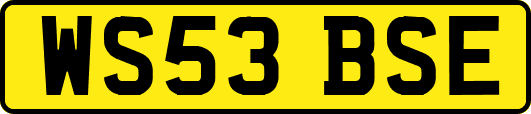 WS53BSE